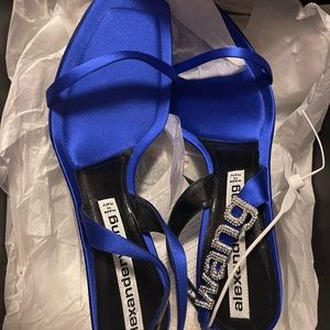 Alexander Wang sandals